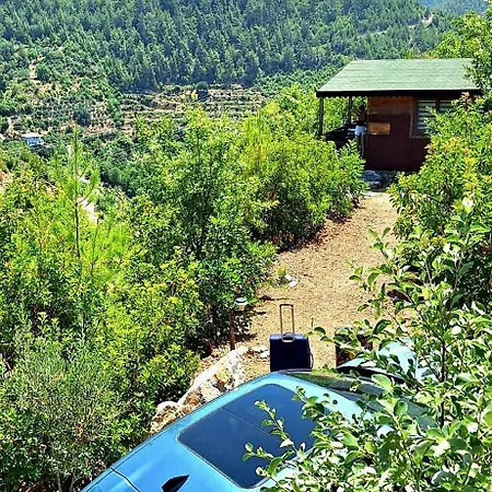 Herguel Village Chalet Gazipaşa